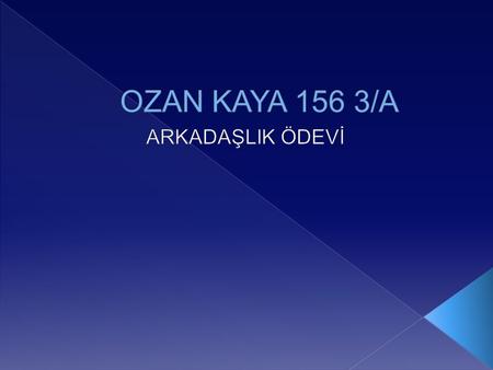 OZAN KAYA 156 3/A ARKADAŞLIK ÖDEVİ.