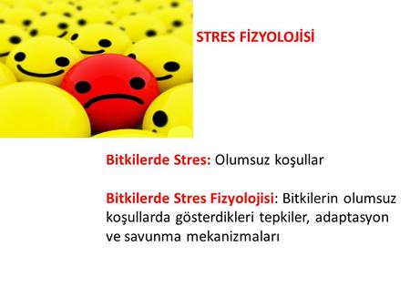 STRES FİZYOLOJİSİ Bitkilerde Stres: Olumsuz koşullar