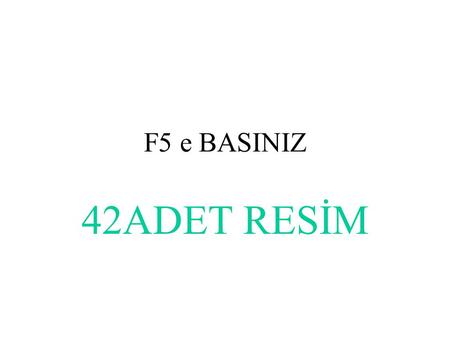 F5 e BASINIZ 42ADET RESİM.