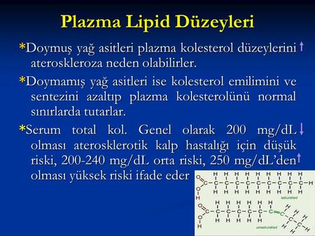 Plazma Lipid Düzeyleri