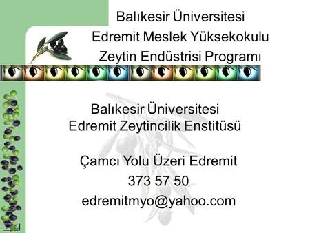 Balıkesir Üniversitesi Edremit Zeytincilik Enstitüsü
