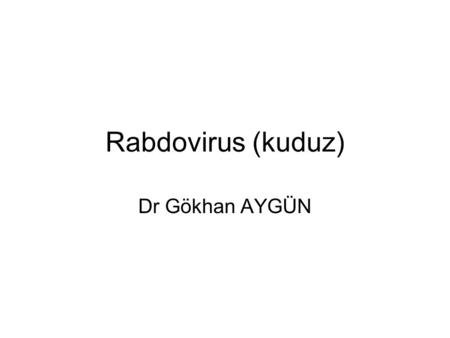 Rabdovirus (kuduz) Dr Gökhan AYGÜN.