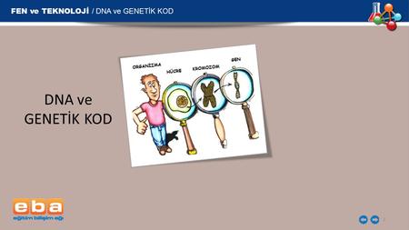 FEN ve TEKNOLOJİ / DNA ve GENETİK KOD