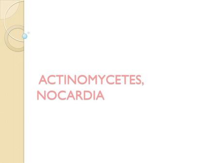 ACTINOMYCETES, NOCARDIA