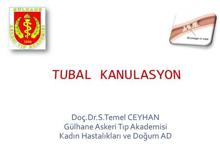 TUBAL KANULASYON Doç.Dr.S.Temel CEYHAN Gülhane Askeri Tıp Akademisi Kadın Hastalıkları ve Doğum AD.