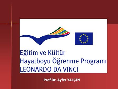 Prof.Dr. Ayfer YALÇIN. HAYATBOYU ÖĞRENME PROGRAMI Sektörel Programlar COMENIUS (Okul Eğitimi) ERASMUS (Yüksek Öğretim) LEONARDO DA VINCI (Mesleki Eğitim)