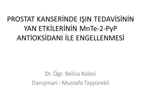 Dr. Ögr. Belisa Kaleci Danışman : Mustafa Taşyürekli