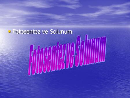 Fotosentez ve Solunum Fotosentez ve Solunum.