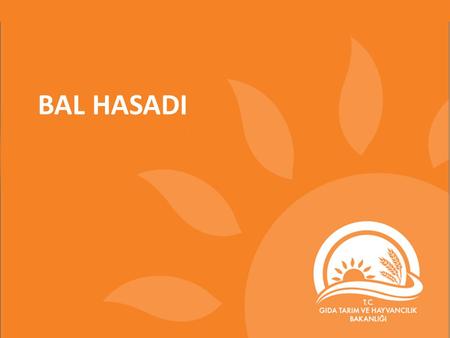 BAL HASADI. Bal Hasad Dönemi  Bölgeler göre değişmekle birlikte genelde Eylül ayı içerisinde yapılır.  Gerektiği durumlarda yılda birkaç defa ve farklı.
