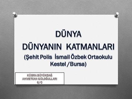 (Şehit Polis İsmail Özbek Ortaokulu Kestel /Bursa)