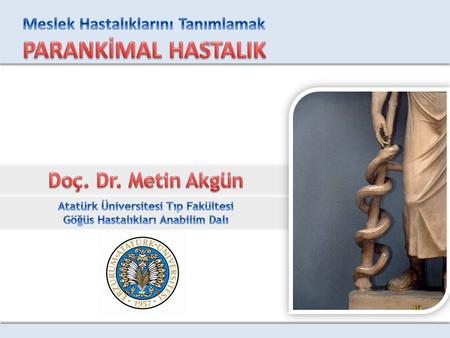 Atatürk Üniversitesi Tıp Fakültesi Göğüs Hastalıkları Anabilim Dalı