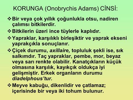 KORUNGA (Onobrychis Adams) CİNSİ: