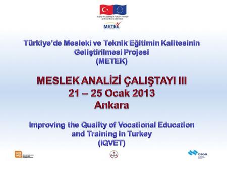 MESLEK ANALİZİ ÇALIŞTAYI III 21 – 25 Ocak 2013 Ankara
