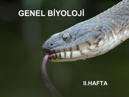 GENEL BİYOLOJİ II.HAFTA.