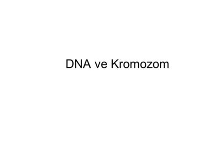 DNA ve Kromozom.