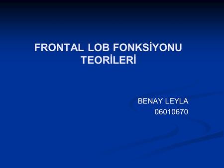 FRONTAL LOB FONKSİYONU TEORİLERİ