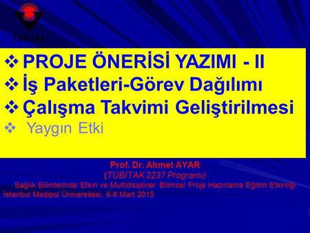 Prof. Dr. Ahmet AYAR (TÜBİTAK 2237 Programı)