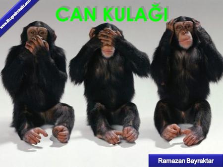 CAN KULAĞI www.ilkogretimkalbi.com Ramazan Bayraktar.