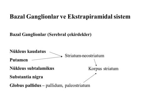 Bazal Ganglionlar ve Ekstrapiramidal sistem