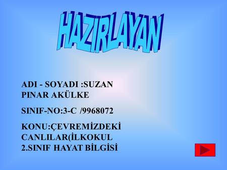 HAZIRLAYAN ADI - SOYADI :SUZAN PINAR AKÜLKE SINIF-NO:3-C /
