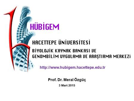 Http://www.hubigem.hacettepe.edu.tr Prof. Dr. Meral Özgüç 3 Mart 2015.