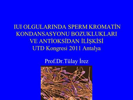 IUI OLGULARINDA SPERM KROMATİN KONDANSASYONU BOZUKLUKLARI VE ANTİOKSİDAN İLİŞKİSİ UTD Kongresi 2011 Antalya Prof.Dr.Tülay İrez.