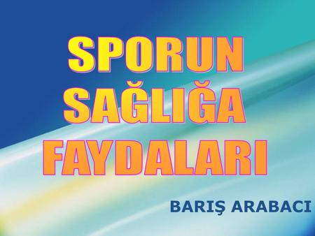 BARIŞ ARABACI. www.themegallery.com Company Logo.