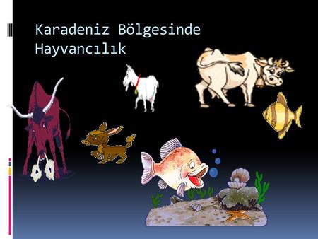 Karadeniz Bölgesinde Hayvancılık