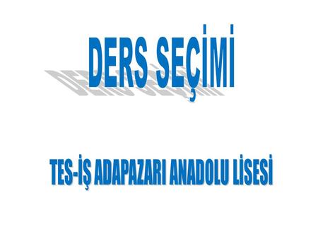 TES-İŞ ADAPAZARI ANADOLU LİSESİ