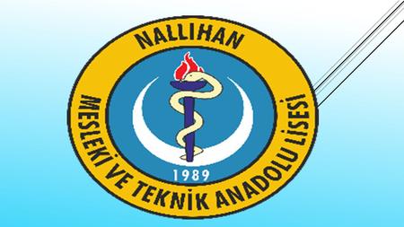 Okulumuz Nallıhan Mesleki ve Teknik Anadolu Lisesi 6 Kasım 1989 tarihinde 2 şube olarak Hemşirelik Bölümü ile eğitim öğretime başlamıştır.