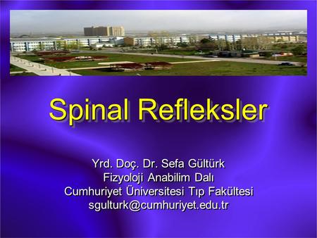 Spinal Refleksler Yrd. Doç. Dr. Sefa Gültürk Fizyoloji Anabilim Dalı