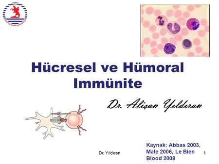 Hücresel ve Hümoral Immünite