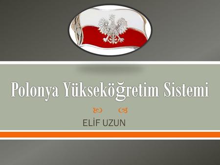 Polonya Yükseköğretim Sistemi