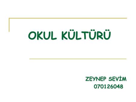 OKUL KÜLTÜRÜ ZEYNEP SEVİM 070126048.