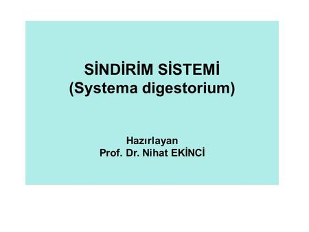 (Systema digestorium)