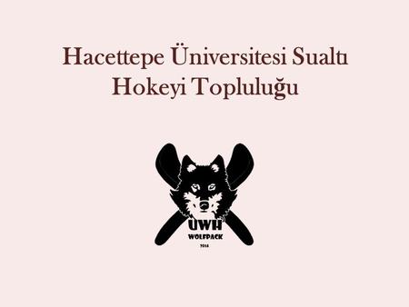 Hacettepe Üniversitesi Sualtı Hokeyi Topluluğu
