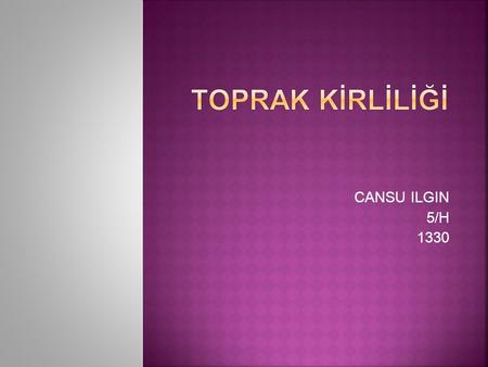 TOPRAK KİRLİLİĞİ CANSU ILGIN 5/H 1330.