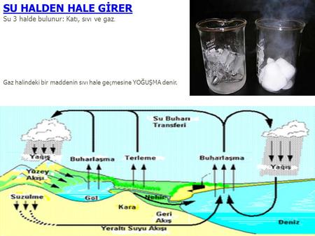 SU HALDEN HALE GİRER Su 3 halde bulunur: Katı, sıvı ve gaz. Gaz halindeki bir maddenin sıvı hale ge ç mesine YOĞUŞMA denir.