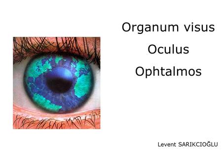 Organum visus Oculus Ophtalmos Levent SARIKCIOĞLU.