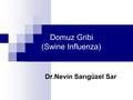 Domuz Gribi (Swine Influenza)‏ Dr.Nevin Sarıgüzel Sar.