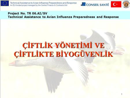 Technical Assistance to Avian Influenza Preparedness and Response An EU-funded project managed by the Central Finance & Contracts Unit Project No. TR 06.AI/SV.