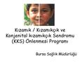Kızamık / Kızamıkçık ve Konjenital kızamıkçık Sendromu (KKS) Önlenmesi Programı Bursa Sağlık Müdürlüğü.