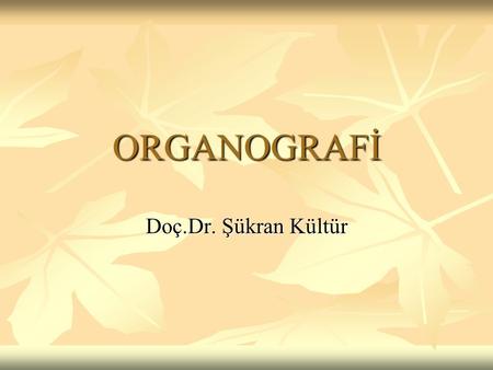 ORGANOGRAFİ Doç.Dr. Şükran Kültür.