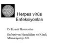 Herpes virüs Enfeksiyonları