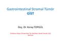 Gastrointestinal Stromal Tümör GİST