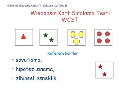 Wisconsin Kart Sıralama Testi WCST
