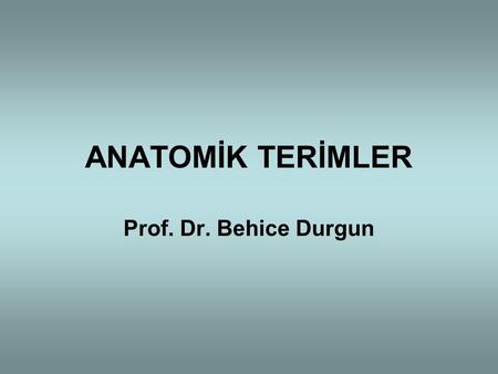 ANATOMİK TERİMLER Prof. Dr. Behice Durgun.