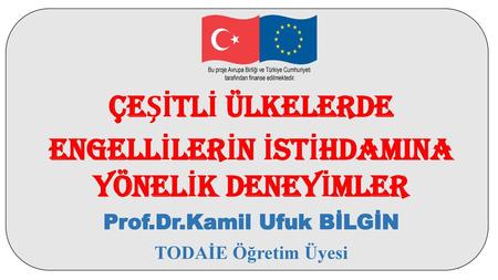 ENGELLİLERİN İSTİHDAMINA YÖNELİK DENEYİMLER Prof.Dr.Kamil Ufuk BİLGİN