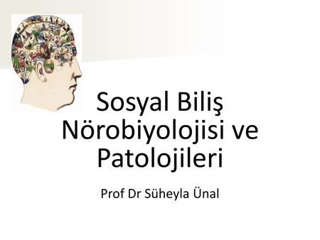 Sosyal Biliş Nörobiyolojisi ve Patolojileri