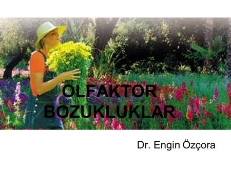 OLFAKTOR BOZUKLUKLAR Dr. Engin Özçora.